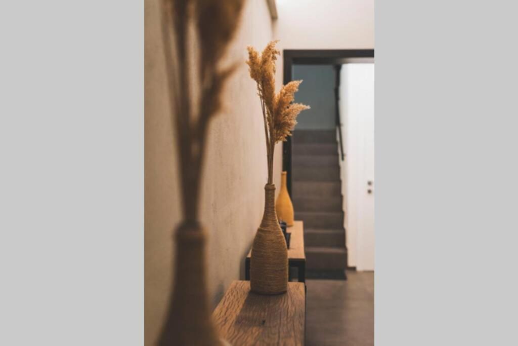 Apartment Torre 13